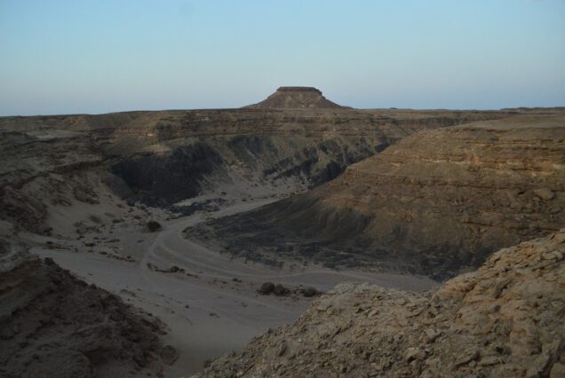 Administrative Services and Legal Consultations