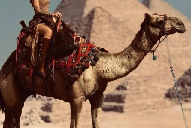 Cairo One Day Trip