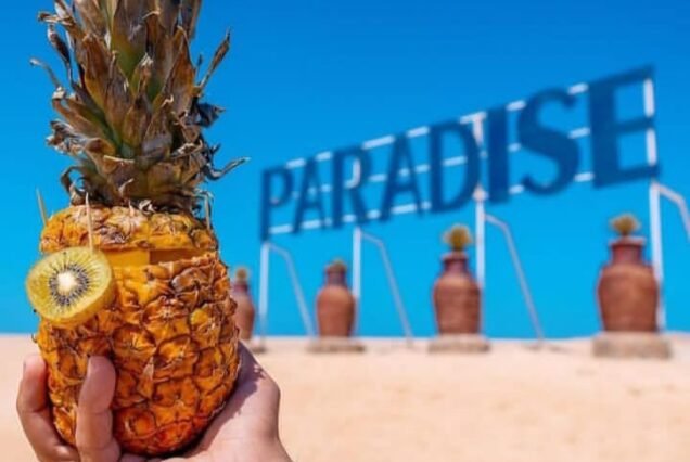 Paradise Island