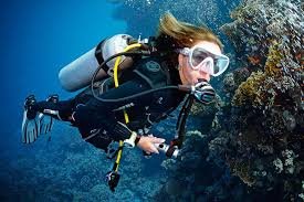 Diving trip in Marsa Alam