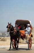Horse-drawn vehicle ride in the Karite desert