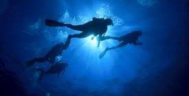 Night diving trip in Marsa Alam