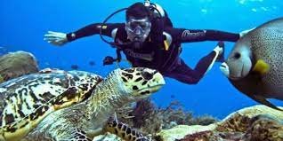 Professional diving trip